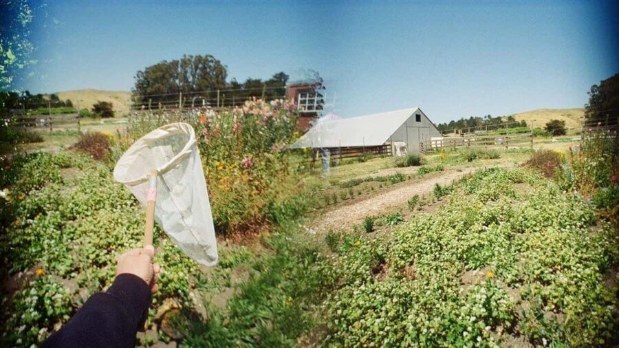 San Francisco: 5-Day California Coast, Vineyards & Wine Tour - The Value of This Tour