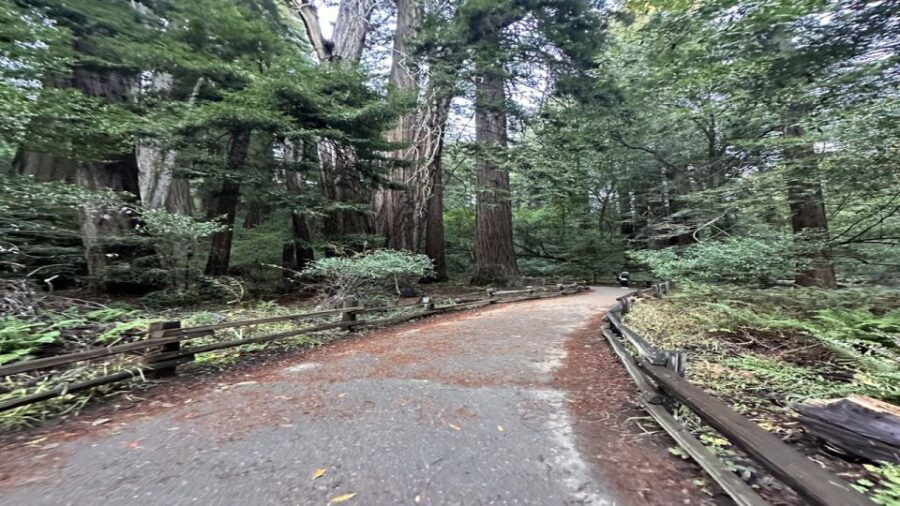 San Francisco: Alcatraz, Muir Woods and Sausalito Day Tour - Analyzing the Value