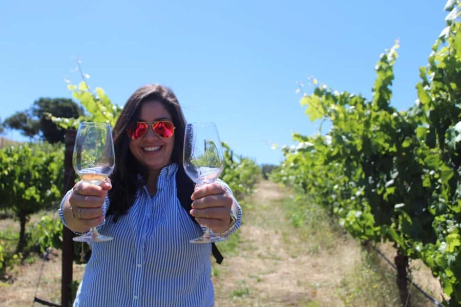 San Francisco: Napa and Sonoma Valley Wine Tour - What Travelers Say