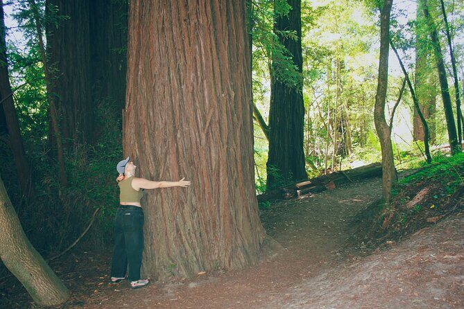 San Francisco to Santa Cruz Day Trip: Redwoods and Beach Fun - Practical Tips for Participants