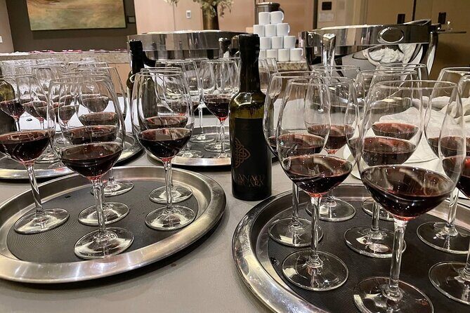 San Francisco Wine Country Tour in EV VW Van - Why Travelers Love This Tour