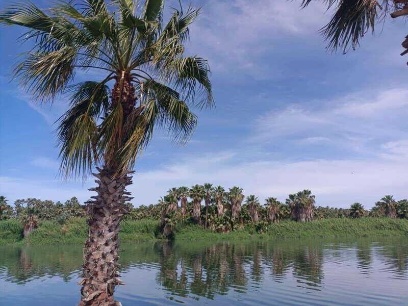 SAN JOSE GOLDEN - Who Should Take This Tour?