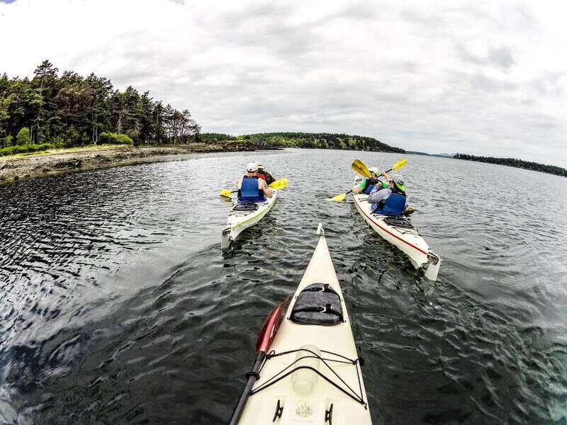 San Juan Island: Full Day Kayaking Tour with Lunch - What We Loved and What to Consider