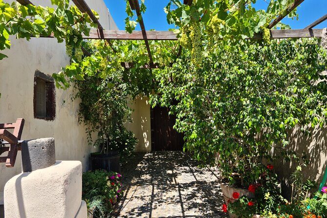 Sanotini Oia Wine Tasting and Local Places Half Day Tour - The Historic Heart of Santorini: Argyros Winery