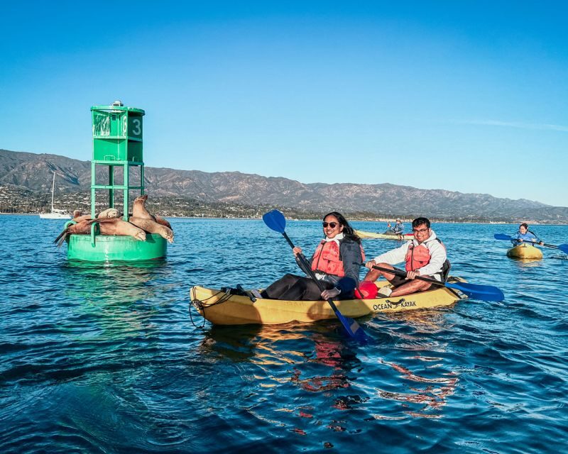 Santa Barbara Harbor: Wildlife Kayak Tour (2 Hours) - The Paddling Itinerary: What to Expect