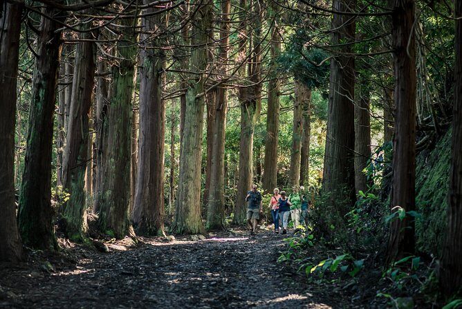 Santa Maria - Walking Tour Guide - The Transport and Group Size