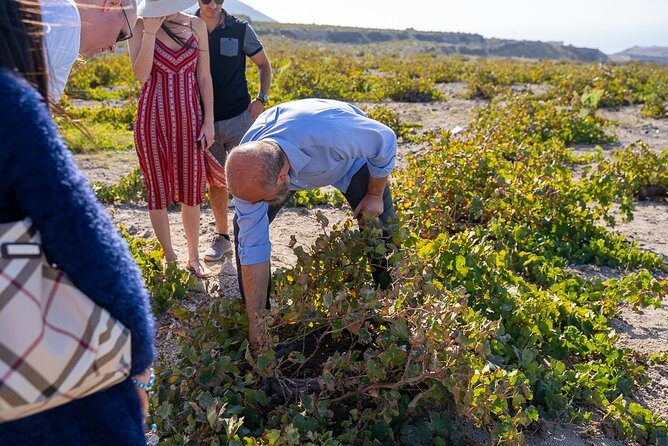 Santorini Wine Roads Tour with Wine Tastings Morning & Sunset - Detailed Breakdown of the Itinerary