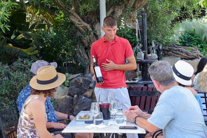 Santorini Wine Stories: Daytime Tour with Tasting & Lunch - The Wineries – A Closer Look