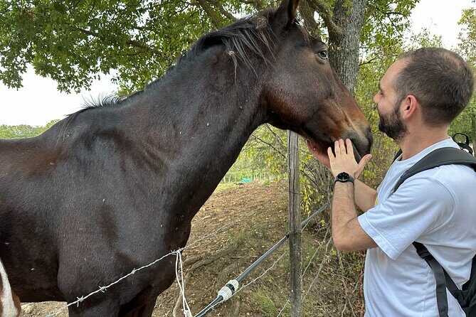 Saturnia's thermal waters a hike through history - FAQ