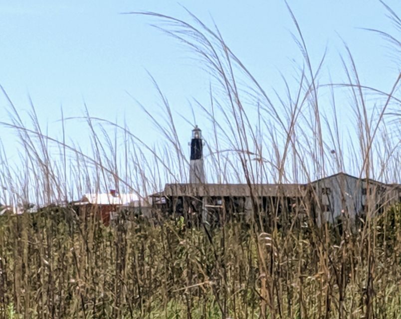 Savannah: Historic District and Islands Private Tour - Final Thoughts: Who Will Love This Tour?