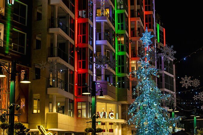 Savannah Holiday Sights and Festive Nights Trolley Tour - Who Should Consider This Tour