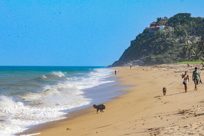 Sayulita and San Pancho Day Trip from Puerto Vallarta - Final Thoughts