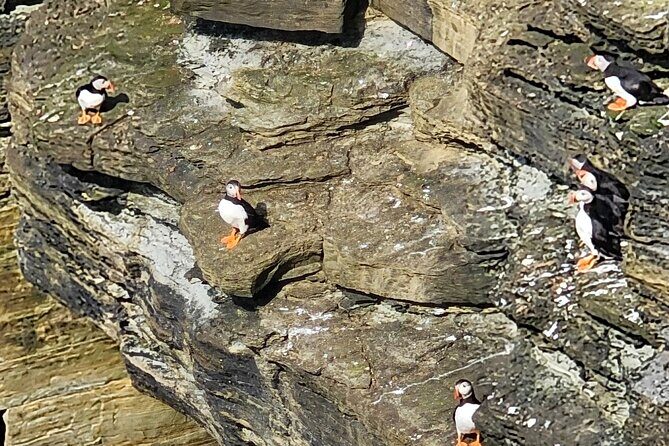 Scapa Tours - Who Will Love This Tour?