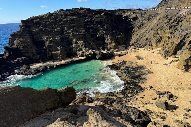 Scenic half day Circle Island tour - Why This Tour Works for Travelers