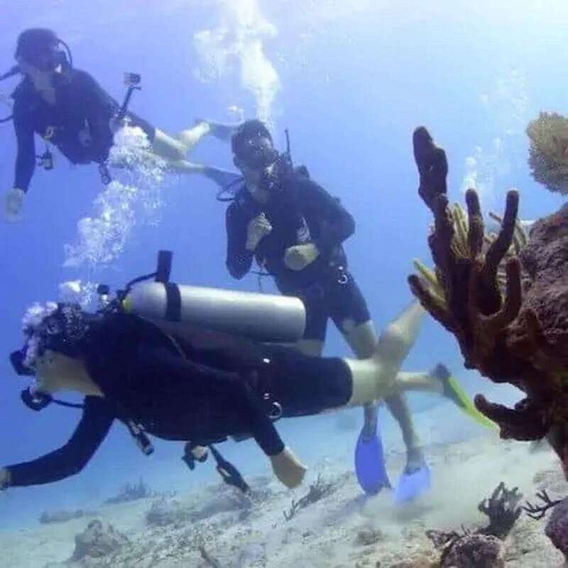 Scuba Cozumel: Experience from Boat, for Certified Divers - Exploring the Itinerary: What Makes It Special?