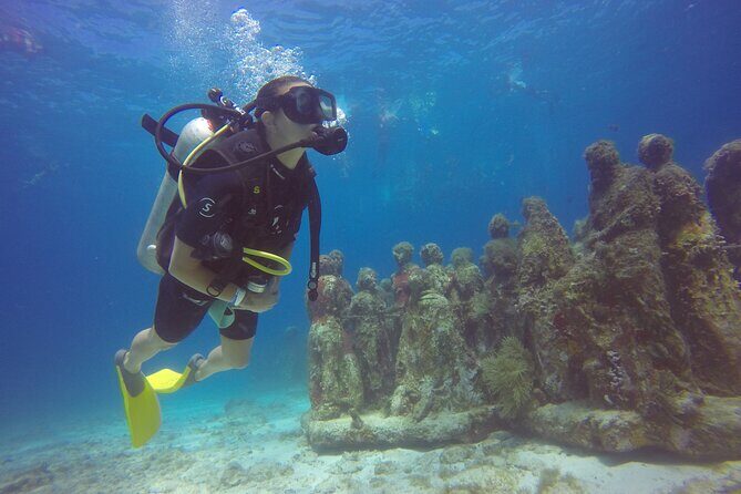 Scuba Dive at Musa Cancun for Certified Divers - Logistics and Practicalities