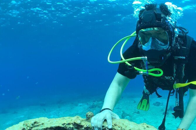 Scuba Diving Adventure in Riviera Maya Small Group Experience - Pricing and Value