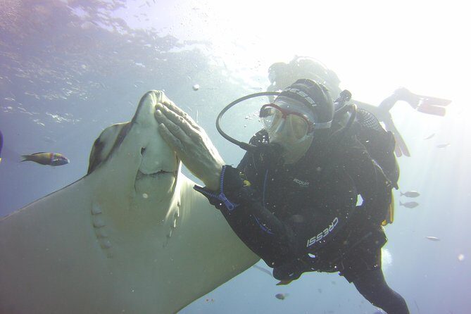 Scuba Diving Beginner's Session in Costa Adeje - FAQs