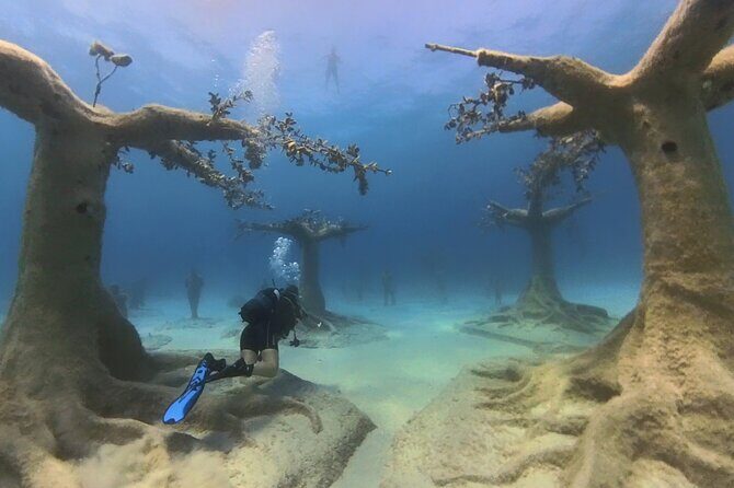 Scuba Diving Experience & MUSAN Dive + Free Edited Video 2xdives - Why This Tour Works Well for Travelers