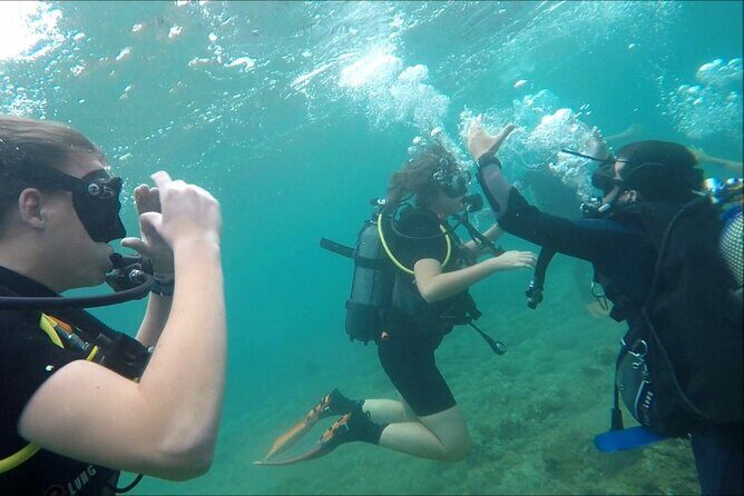 Scuba diving for beginners Cambrils with hotel Pickup - Who Is It Best Suited For?