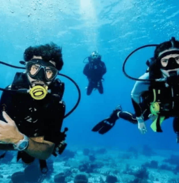 Scuba Diving Playa del Carmen: PADI Open Water Certification - The Course Structure: Two Days of Learning and Diving