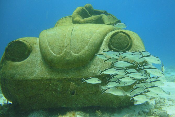 Scuba Diving Under Water Museum and Reef for beginners - What’s Included and What’s Not