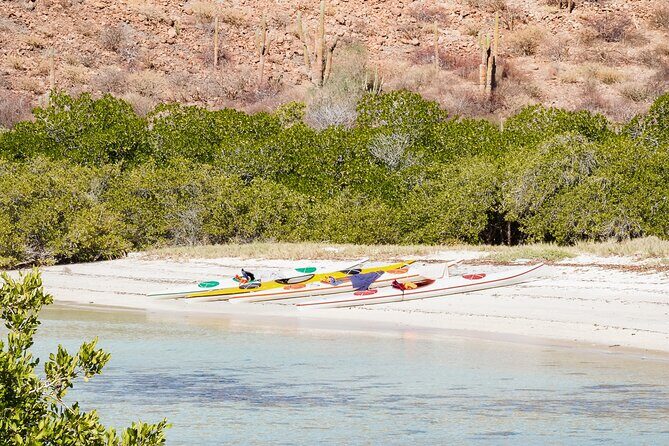 Sea Kayak Tour Marine Safari - Practical Details and What to Expect