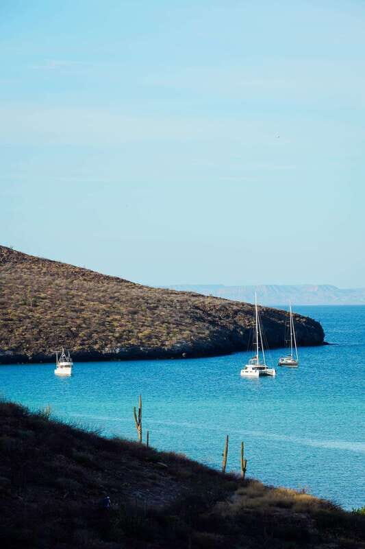 Sea Kayak Tour - Marine Safari - The Itinerary Breakdown