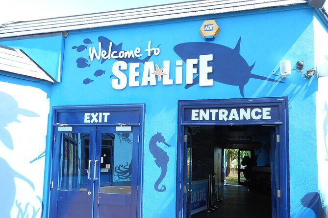SEA LIFE Weymouth Admission Ticket - Interactive and Play Areas