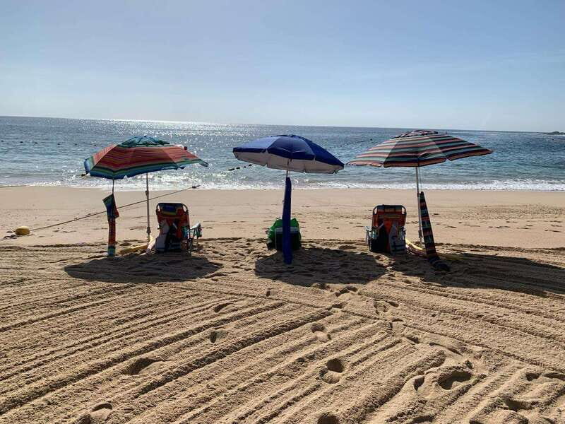 Sea of Cortez: Unforgettable Snorkeling Experience - Why the Price Reflects Value