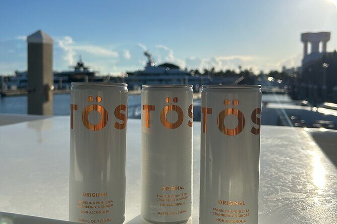 Sea Rocket 3 Hour Intracoastal and Sandbar Adventure - What You Can Expect from the Itinerary