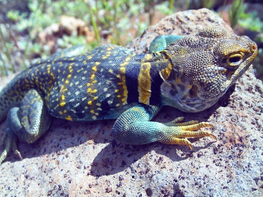 Sedona: PRIVATE Pavement 2-Hour Highlights Jeep Tour - What to Expect from the Tour