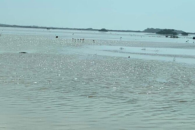 See the 5 Most Visited Points in Progress - Analyzing the Value