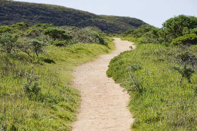 Self-Guided Audio Driving Tour of Point Reyes National Seashore - Final Thoughts: Is This Tour for You?