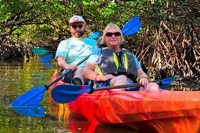 Self Guided EcoTour: Clear/Standard Kayaks -Bonita Springs - Analyzing the Value: Is It Worth It?