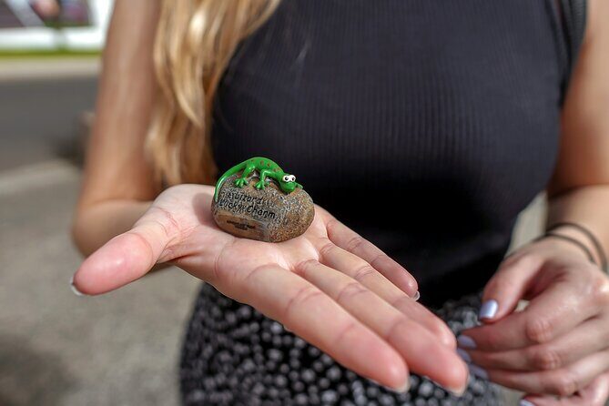 Self Guided Scavenger Hunt - Costa Adeje - Who Will Enjoy This?