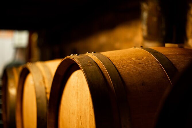 Sella delle Spine Taurasi: Tasting, Vineyard and Cellar Tour - Practical Details & Insights