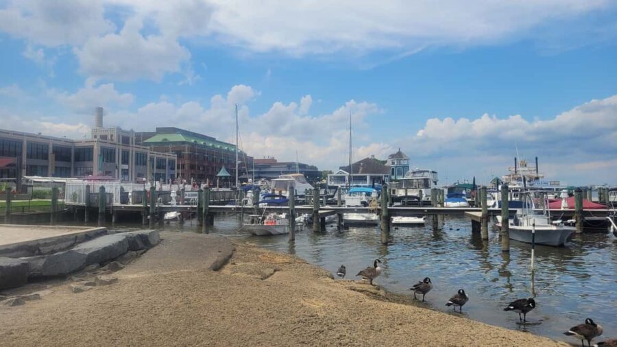 Semi-Private Walking Tour Old Town Alexandria & Carlyle - An In-Depth Look at What You Can Expect