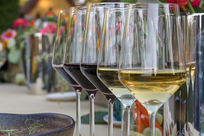 Semi-Private Wine Tour of 2 wineries with wine Tastings - Third Stop: Winery Stilianou – A Scenic Haven for Tasting and Relaxation