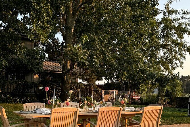 Serene and Romantic Wine Tasting Next to the Vines in Napa Valley - Frequently Asked Questions