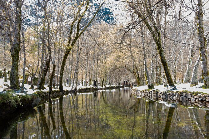 Serra da Estrela - Full Day Private Tour - Deep Dive into the Experience