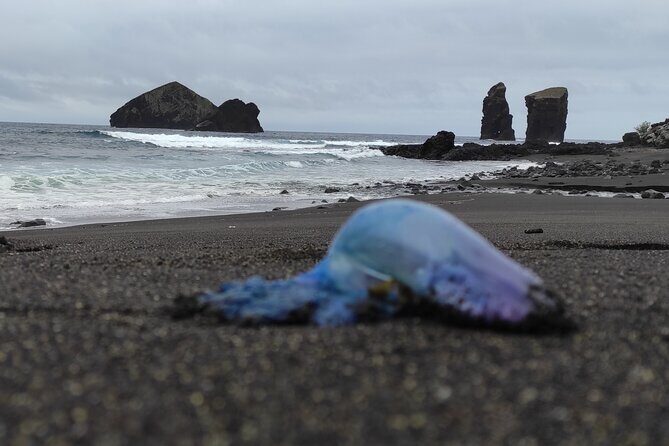 Sete Cidades on Jeep - Final Thoughts: Is It Worth It?