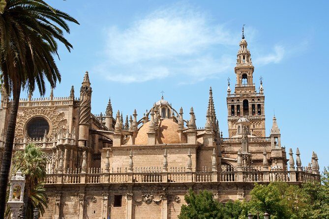 Seville Tour with Alcazar, Cathedral and Giralda from Granada - Authentic Experiences and Visitor Feedback