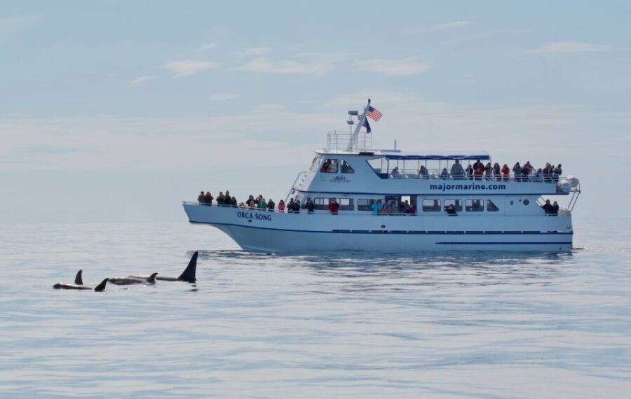 Seward: Resurrection Bay Orca Quest Cruise - Who Should Consider This Tour?