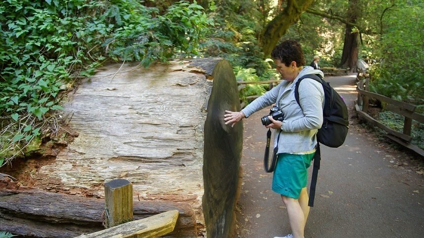 SF: Guided Muir Woods Tour & Hop-On Hop-Off Tour (Save 15%) - Who Will Love This Tour?