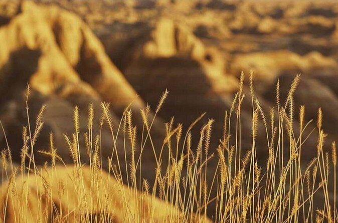 Shared Badlands and Wall Drug Store Experience - The Practicalities: What You Need to Know