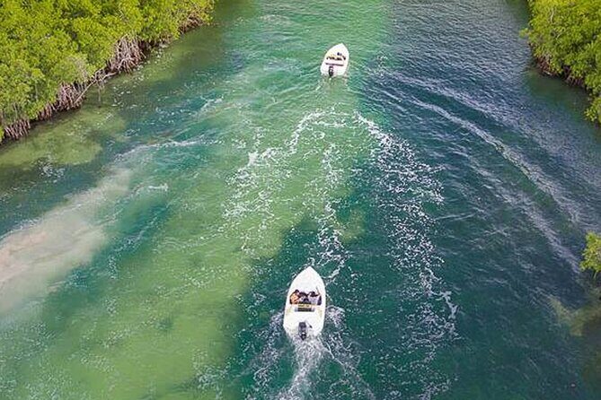 Shared Jungle Speed Boat Tour in Cancun - What’s Included and What’s Not