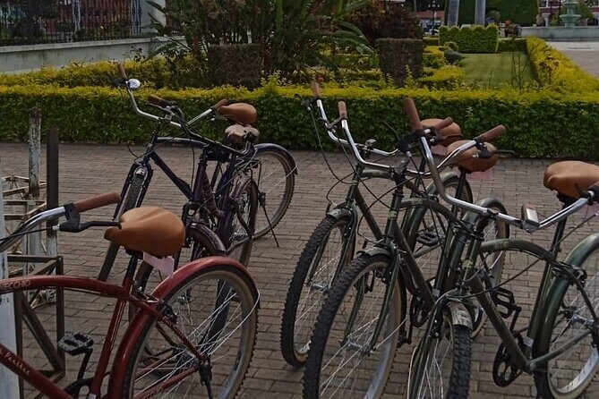 Shared Santa Maria Del Tule Bike Tour - An In-Depth Look at the Tour Experience