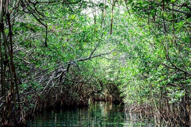 Shared Speedboat and Snorkeling Adventure in Cancun - Who Should Book This Adventure