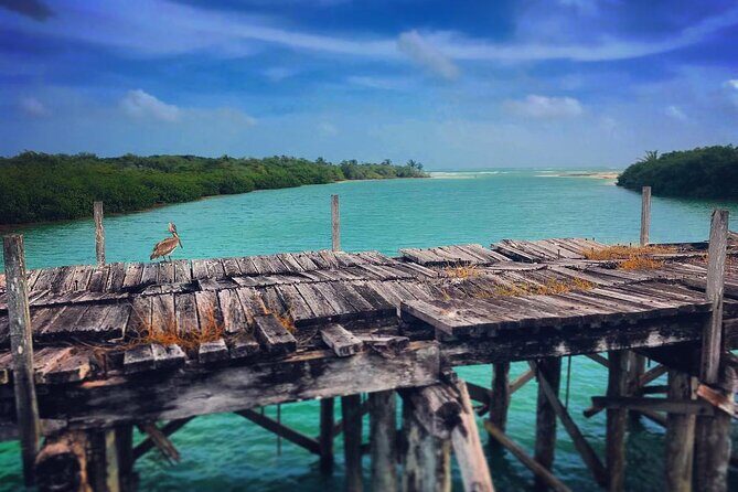 Shared Speedboat Tour: Nichupté Lagoon & Mangrove Adventure - The Itinerary in Detail